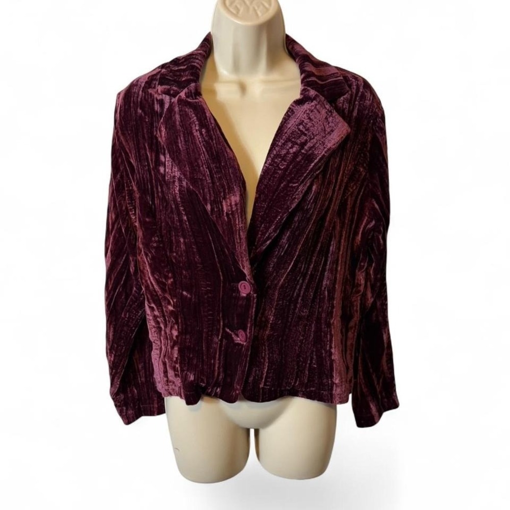 Vintage Espressa 90s Plum Crushed Velvet Jacket, Women's Size 1XL